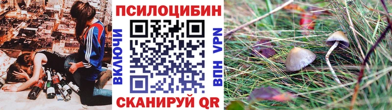 Псилоцибиновые грибы GOLDEN TEACHER  как найти   Рубцовск 